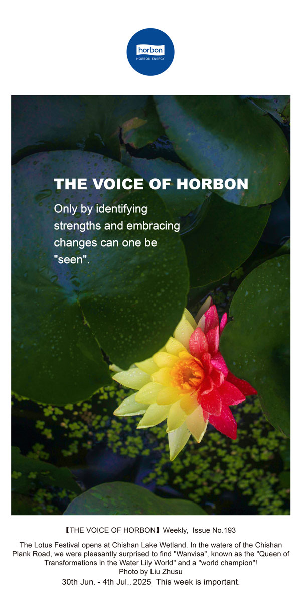 【和之声】找准优势、拥抱转变，，，才华“被望见”。。(总第193期）--2025.6英文导出季度推送用.jpg