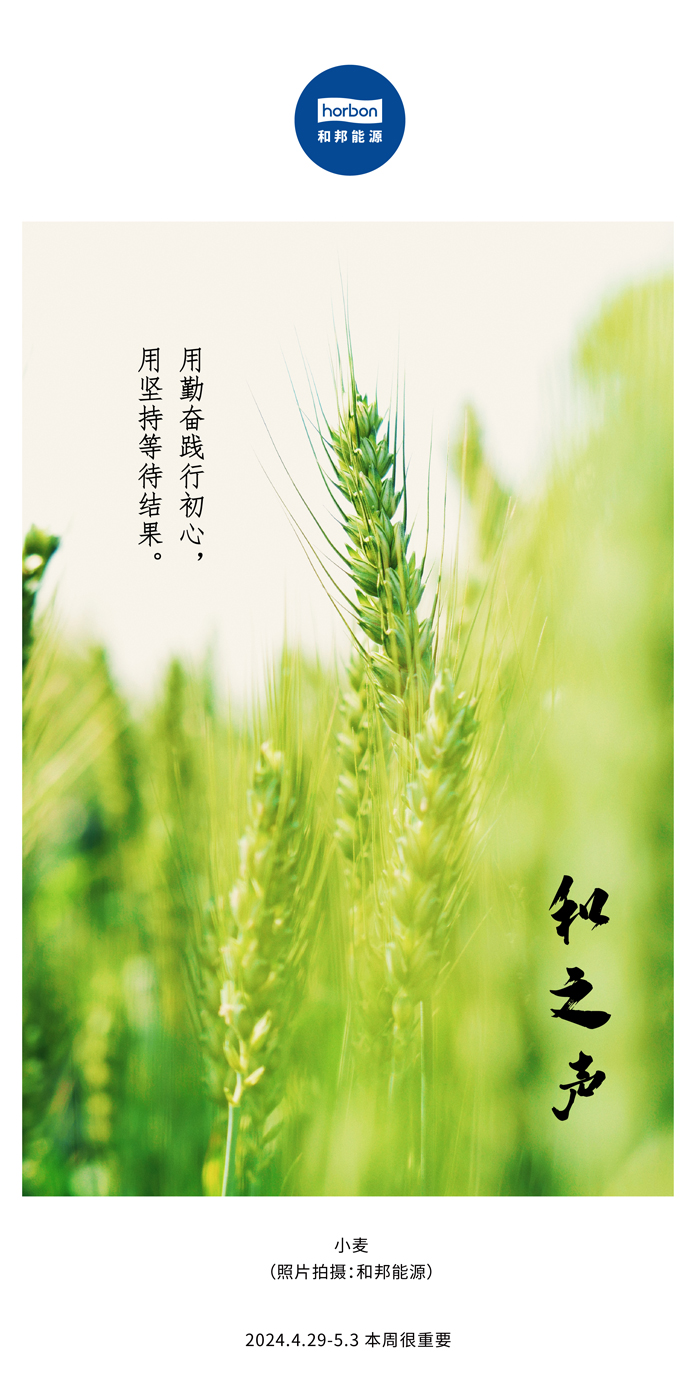 【和之声】用勤劳践行初心，，，用坚持期待效果。。。（总第132期）2024.4.29-5中文改小季度推送用.jpg
