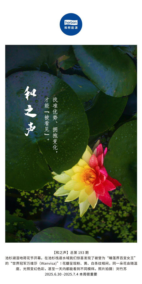 【和之声】找准优势、拥抱转变，，，才华“被望见”。。。。。(总第193期）--2025.6中文导出季度推送用.jpg